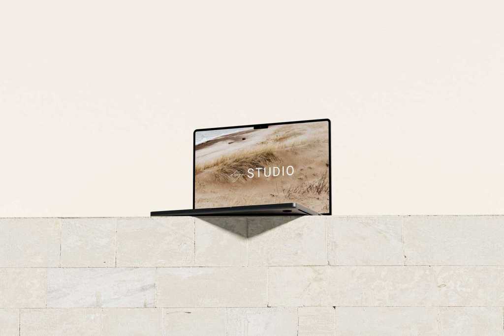 Lush Collection MacBook Mockup
