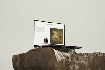 macbook on rock