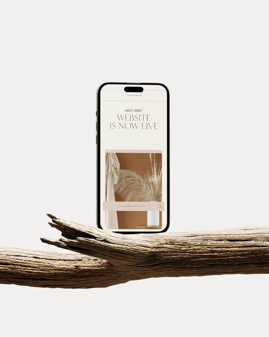 iphone mockup