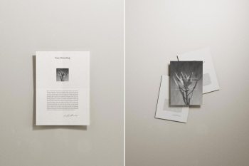a4 mockup
