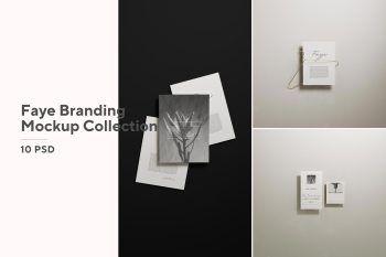 Faye Branding mockup