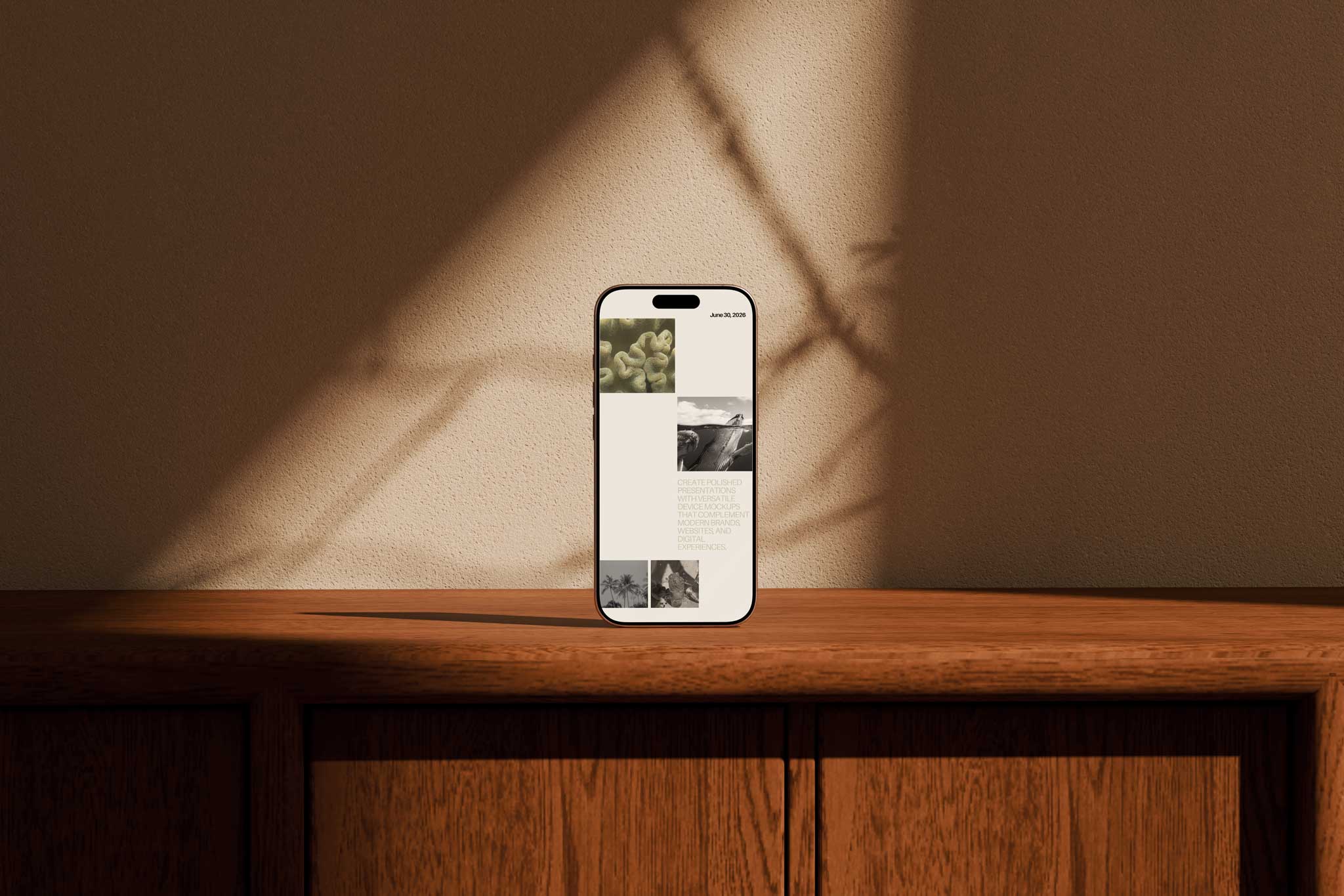 phone mockup